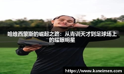 利来w66国际